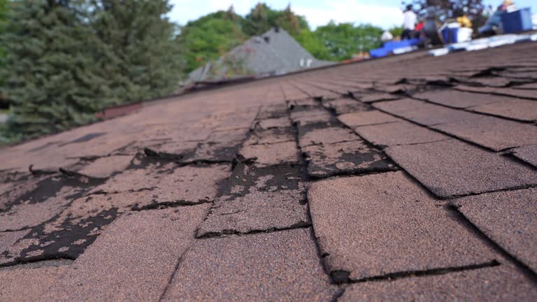 Cold Roofs in Minerva Park, OH